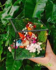Terrarium 382 - The Moss Cabinet
