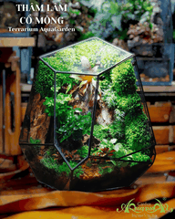 Terrarium 117 - Dream Of Nature