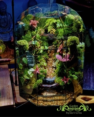 Terrarium 366 - The Hidden Glen