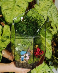 Terrarium 348 - Daisy