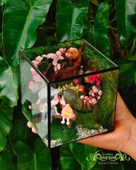 Terrarium 382 - The Moss Cabinet