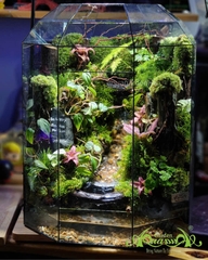 Terrarium 366 - The Hidden Glen