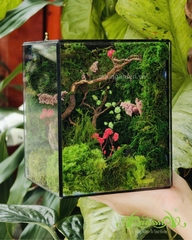 Terrarium 365 - Mossy Dreams