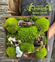 Terrarium 40 - tâm hoan hỉ, đời hoan ca
