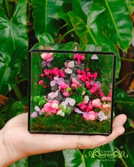 Terrarium 382 - The Moss Cabinet