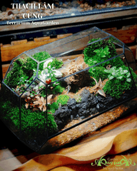 Terrarium 386 - Thạch Lâm Cung