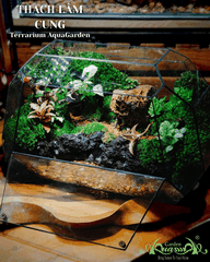Terrarium 386 - Thạch Lâm Cung