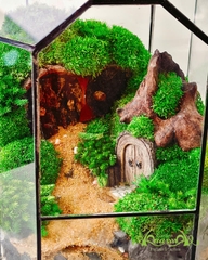 Terrarium 381 - Huyền Môn