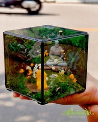 Terrarium 382 - The Moss Cabinet