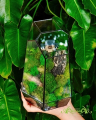 Terrarium 380 - Lục Viên