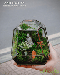 Terrarium 388 - Ánh Tâm An