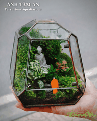 Terrarium 388 - Ánh Tâm An
