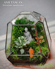 Terrarium 388 - Ánh Tâm An