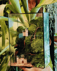 Terrarium 348 - The Mossy Skyscraper