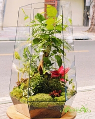 Terrarium 361 - Blooming Serenity