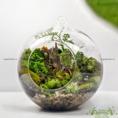 Terrarium 86- Nông trại vui vẻ