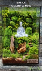 Terrarium 344 - Bình An Giữa Đời Vô Minh