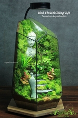 Terrarium 331 - Bình Yên Nơi Chủng Viện