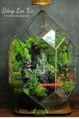 Terrarium 284 - Bồng Lai Xứ