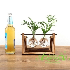 Cau Tiểu Trâm - Bộ kệ xích đu - Thủy canh Aquagarden