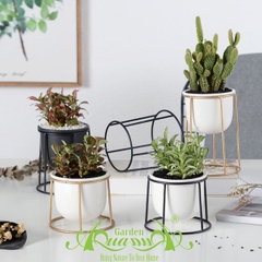Khung Đỡ Chậu Inox - Gốm AquaGarden