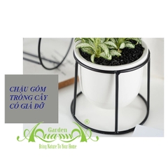 Khung Đỡ Chậu Inox - Gốm AquaGarden