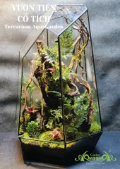 Terrarium 375 - Vườn Tiên Cổ Tích