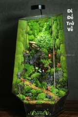 Terrarium 276 - Đi Để Trở Về