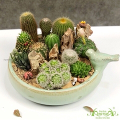 Tiểu Cảnh 02 - Ventomarme