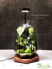 Terrarium 212 - The High Priestess