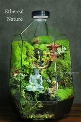 Terrarium 272 - Ethereal Nature