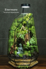 Terrarium 270 - Evermore
