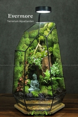 Terrarium 270 - Evermore