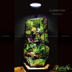 Terrarium 114 - Symphony Of Nature