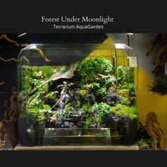 Terrarium 286 - Forest Under Moonlight
