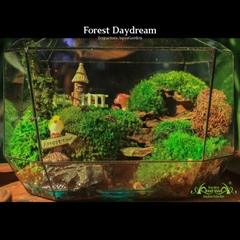 Terrarium 21 - Forest DayDream