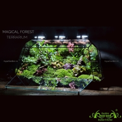 Terrarium 218 - Magical Forest