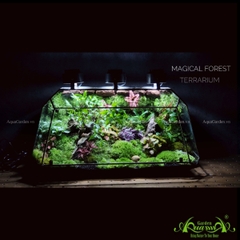 Terrarium 218 - Magical Forest