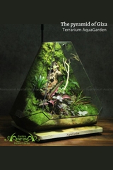 Terrarium 269 - The Pyramid of Giza