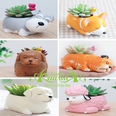 Gốm Thú Đất Nung - Gốm AquaGarden