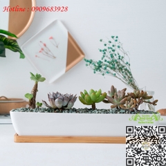 Gốm Thuyền Dài Đế Gỗ