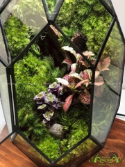 Terrarium 226 - Green Ruby