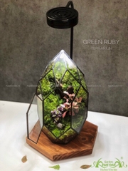 Terrarium 226 - Green Ruby