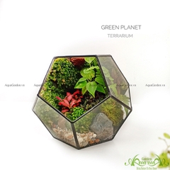 Terrarium 100 - Green Planet