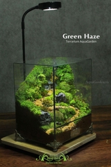 Terrarium 267 - GREEN HAZE