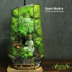 Terrarium 313 - Gyan Mudra