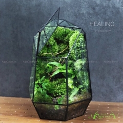 Terrarium 119 - Vùng Trời Bình Yên