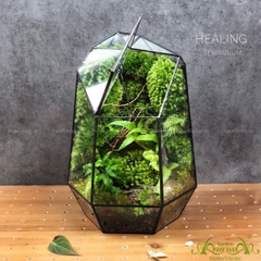 Terrarium 228 - Healing