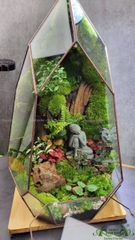 Terrarium 225 - The Hermit