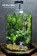 Terrarium 288 - Hồ Kho Báu